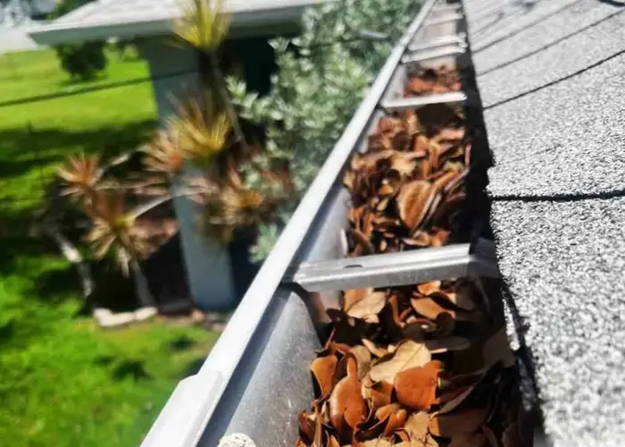 Gutter Cleaning Blanchard home page